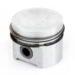 Pistons & Piston Rings