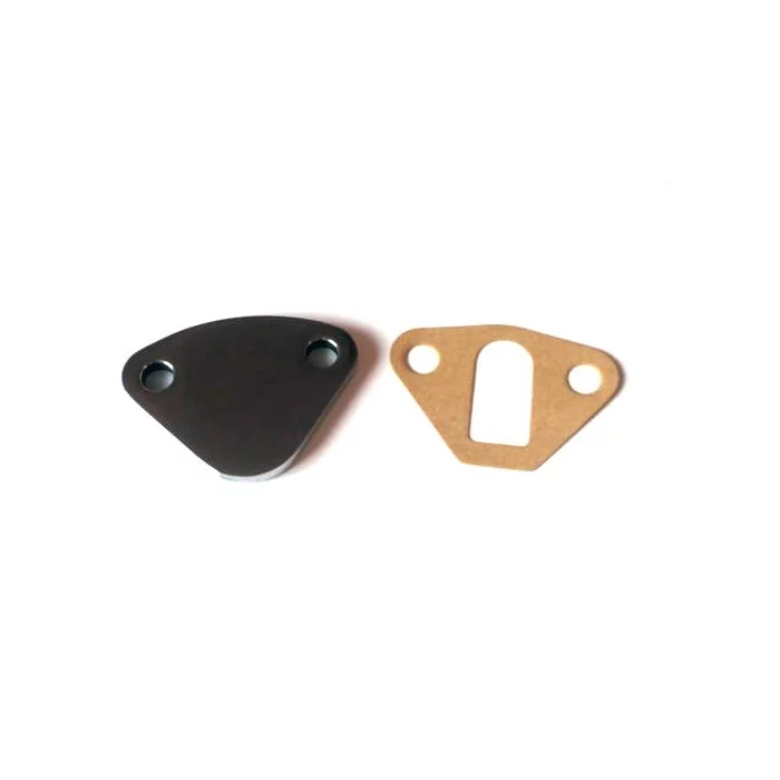Mini Fuel Pump Blanking Plate